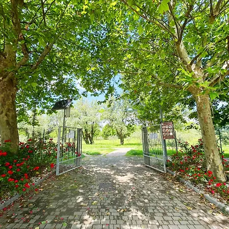 Apartment Acquamarina Ch